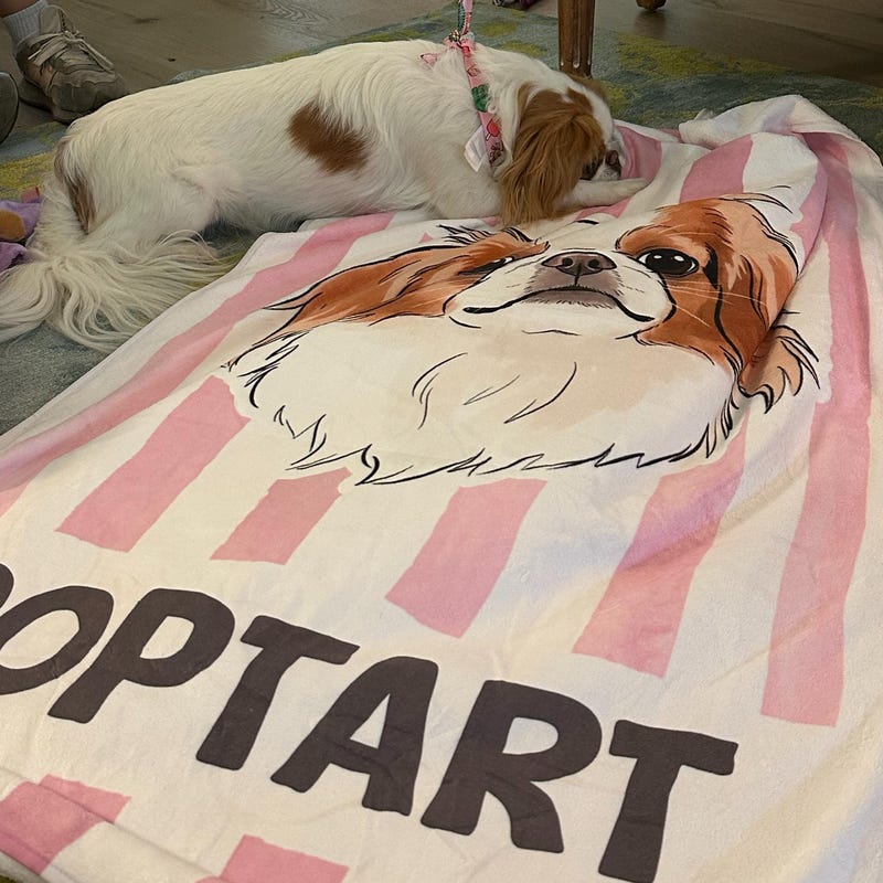 オーダーメイド ペットフォト ビーチタオル／愛犬・愛猫の名前入り クイックドライタオル