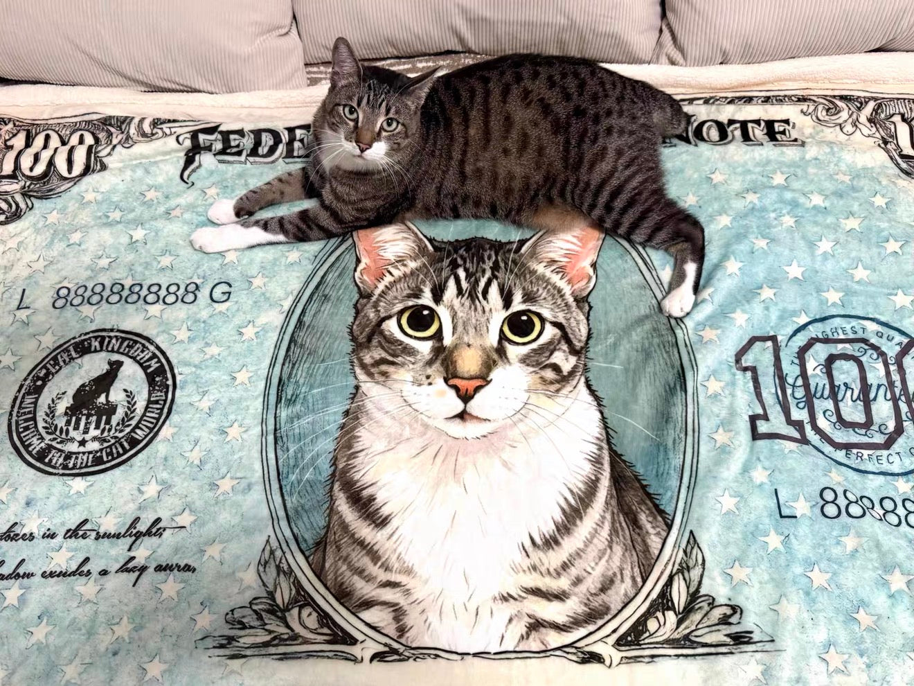 Dollar似顔絵 愛犬ブランケット｜ペット写真カスタム毛布