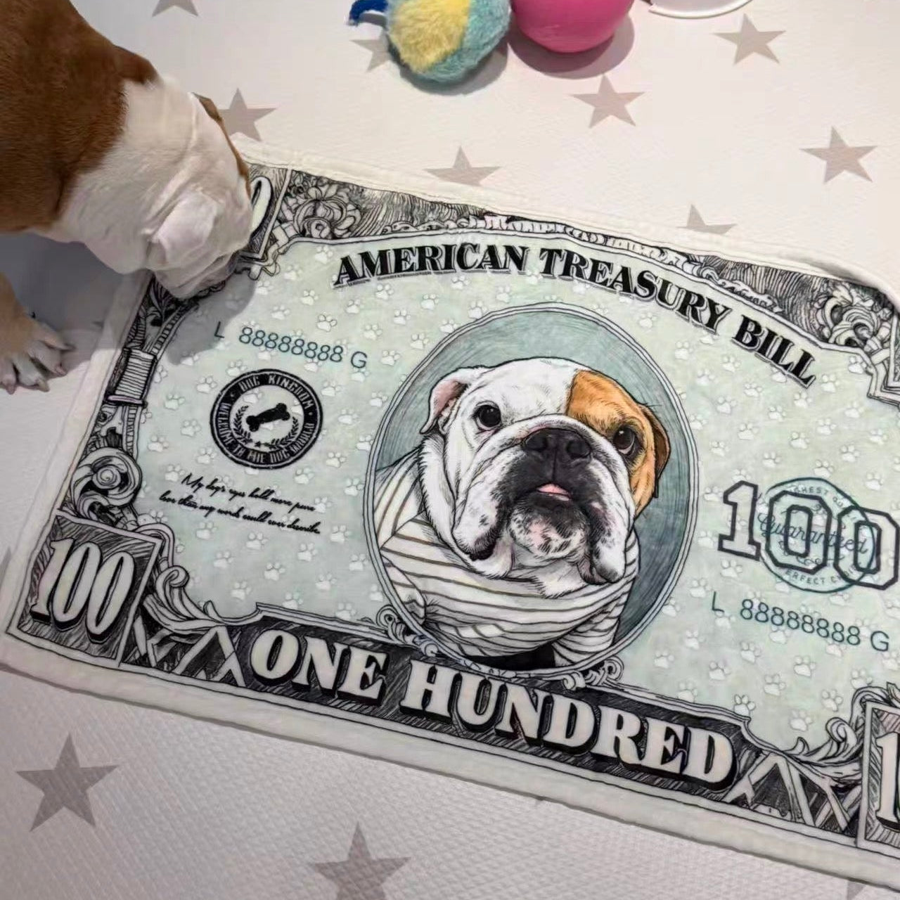 Dollar似顔絵 愛犬ブランケット｜ペット写真カスタム毛布